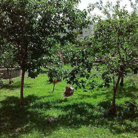 Sunny Garden Studio Atene Esterno foto