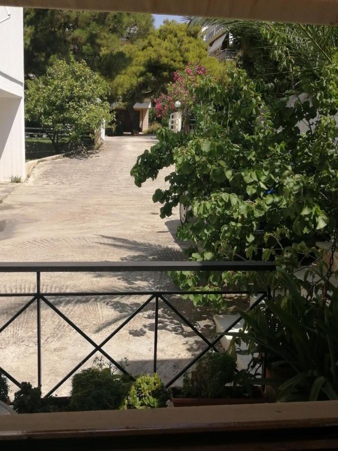 Sunny Garden Studio Atene Esterno foto